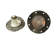 Membrane Ford  2 Blatt Ford