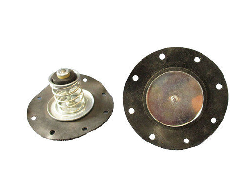 Membrane ford blatt - membrane,