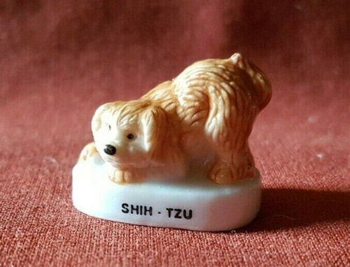 Fève shih tzu hund - tzu,