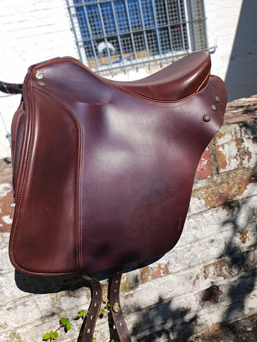 Massimo dressursattel aus - massimo,