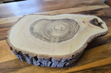 Nussbaum  Baumscheibe massiv