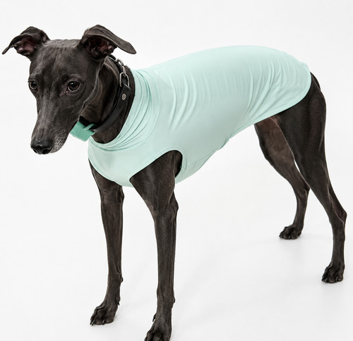Upf50 hunde shirt - hunde, xl