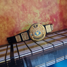 Attitude Era Championship -