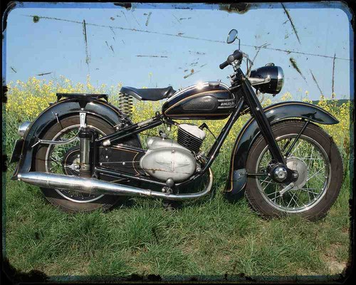 Adler favorit fotodruck - adler,
