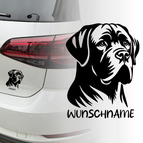 Mastiff hund dog - hund,