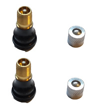 2 x Ventile passend für E-Scooter Ninebot G30,G2 Trittbrett, VMAX VX2,VX4 Xiaomi