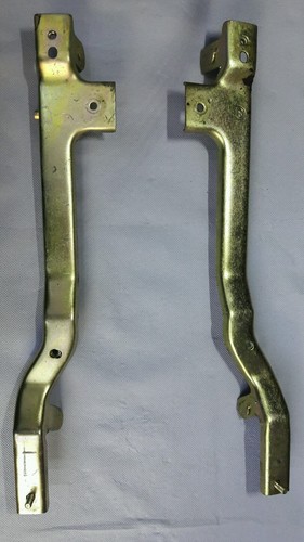 Rex roller chinaroller - rex,