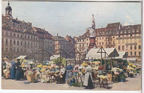 Dresden blumenmarkt auf dem - blumenmarkt,