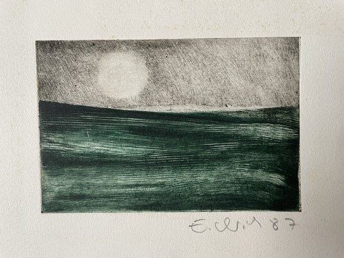 Vollmond über grünem meer - über,