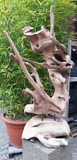 Teak Wurzelholz Skulptur Asia