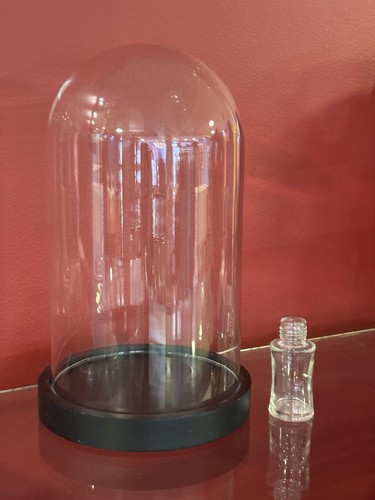 Klarglas kuppel display cloche - kuppel,