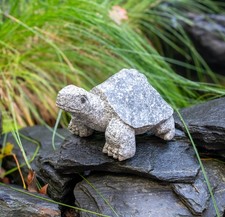 Schildkröte TURTLE Granit
