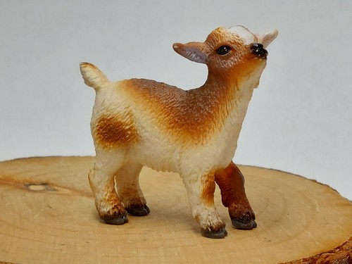 Schleich ziege zwergzicklein - schleich,