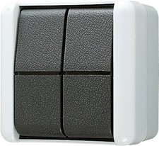 Jung Doppel-Taster 10AX 250V