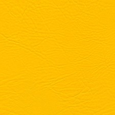 Boot Automobil Motorrad