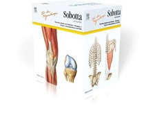 Sobotta Lernkarten für