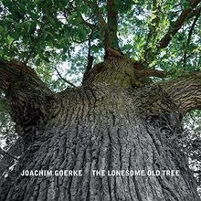 The lonesome old tree - lonesome,