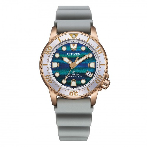 Citizen promaster blue - citizen, dial