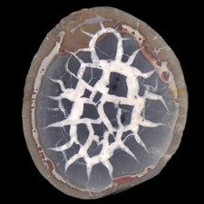 Septarie (Drachenei / Dragon Egg) aus Marokko