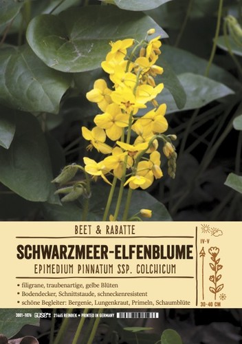 Epimedium pinnatum