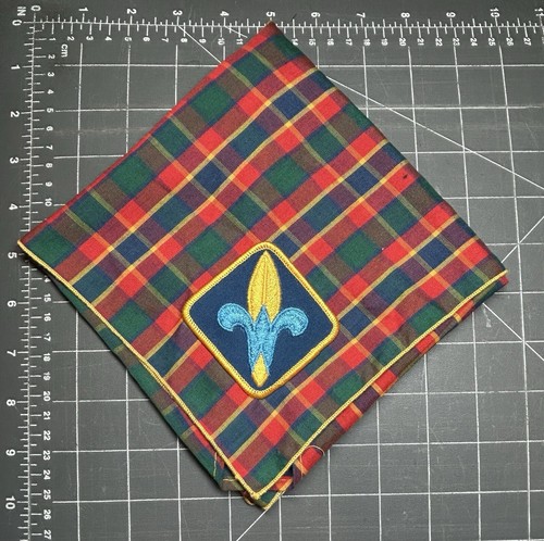 Webelos cubs junge - webelos,
