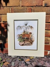 J. WOLF & J. SMIT, große