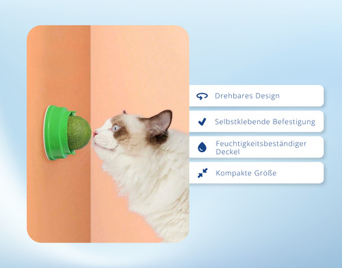 Katzen leck kugel - katzen, ball
