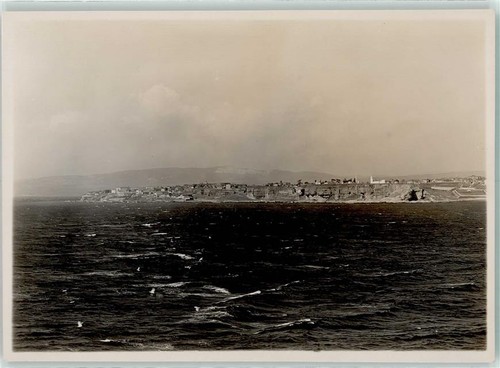 13802835 gallipoli in den - -,