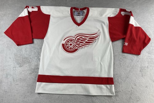 Detroit red wings hockey - red,