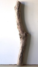 Treibholz Schwemmholz