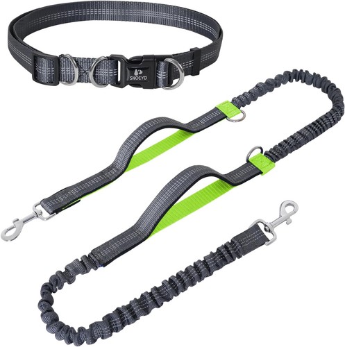 Joggingleine hunde mit - hunde,