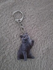 Schlüsselanhänger Niedlicher 2D Katze - Kater Auto Rucksack Schlüssel