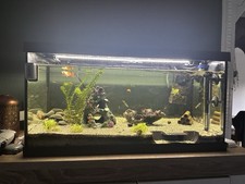 Aquarium komplettset mit - aquarium,