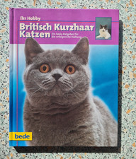BRITISCH KURZHAAR Katzenbuch  Katzenliteratur Katzenliebhaber Katzen