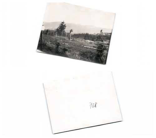 Brotbaude - (b77668a768),