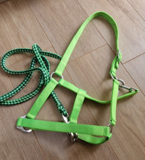 Nylon Pferde Halfter * Neongrün * mit Panik Seil * Gr. COB * Top *  Neu