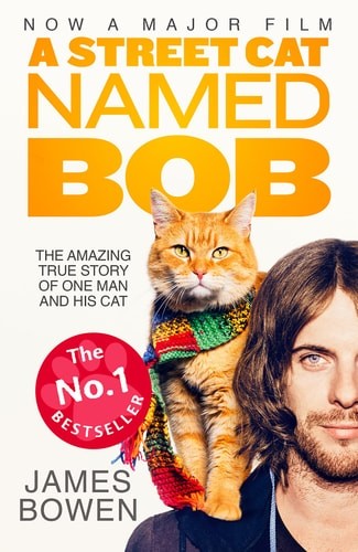 Street cat named - street, bob: