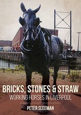 Brick stones and straw - stones,