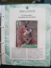 Siebenschläfer O 039 + O 040