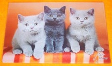 Hochwertiges Glas Designer