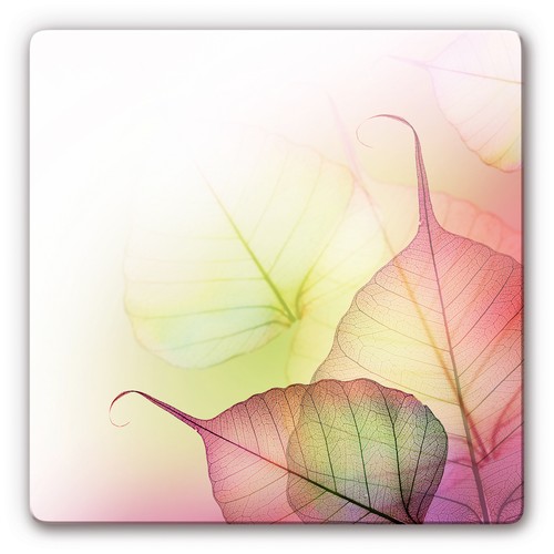 Glas glasbild pink design - pink,