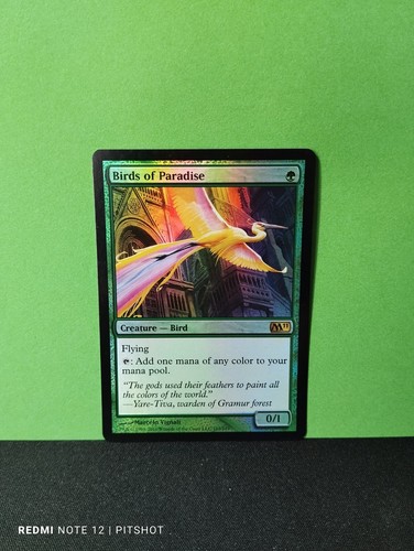 Foil birds paradise - of, /