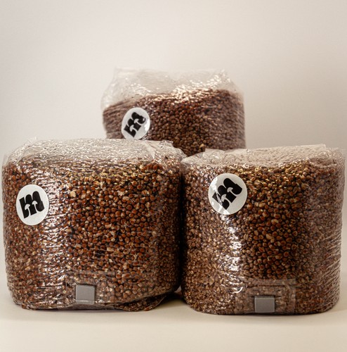 Weizensubstrat steril - 3×2,