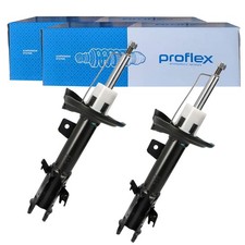 2X PROFLEX GASDRUCK