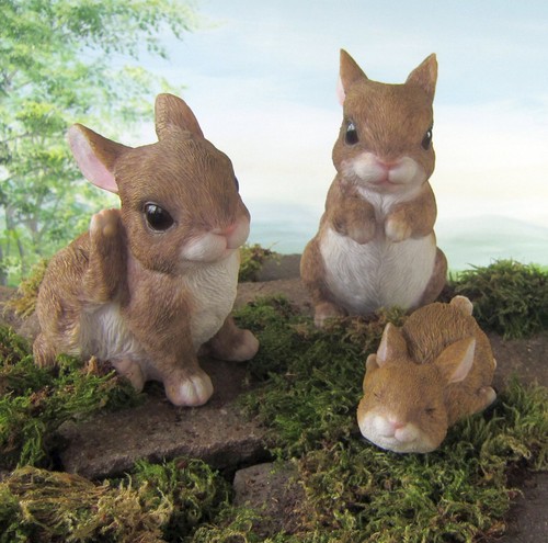 Hasen figur hase - hasen, junges