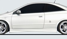 Rieger Seitenschweller