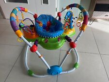 Baby Einstein Jumperoo mit Licht und Sound ab 6 Monaten
