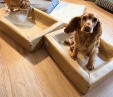 Kudde Hundebett Sabro Xs