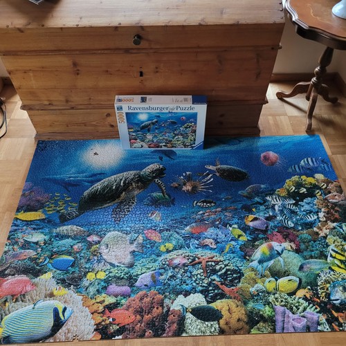 Ravensburger puzzle 5000