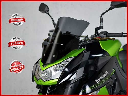 Kawasaki 1000 2010 13 - kawasaki, z